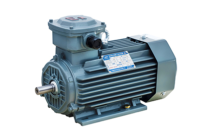 Official Wannan Motor YFB5 / YBX5 product