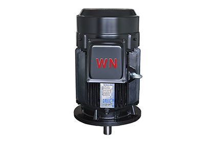 Official Wannan Motor MHE / MVE / NE / NEP product
