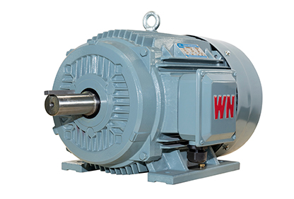 Official Wannan Motor TYCP / TYCP2 product