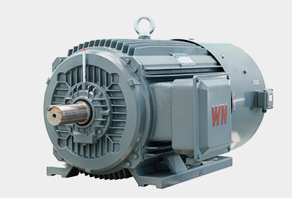 Official Wannan Motor YE3VF / YXVF product