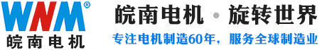 Wannan Motor · 皖南电机