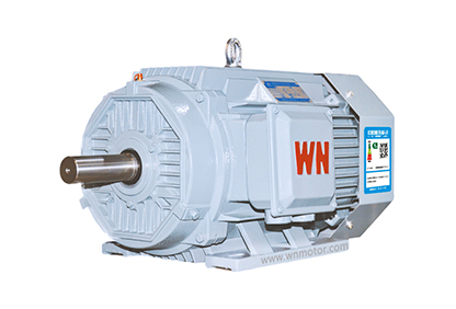 Official Wannan Motor YE5 product